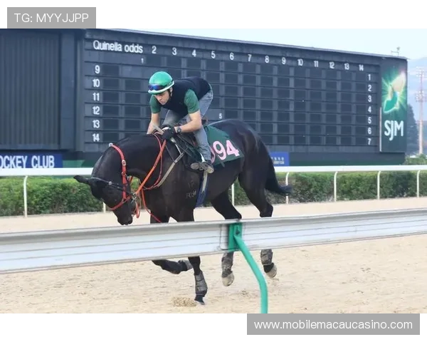 澳门赛马玩法常见问题解答：解决新手在投注过程中遇到的疑问