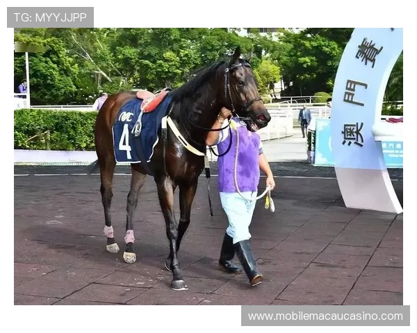 澳门赛马今天的比赛结果及冠军得主详细报道