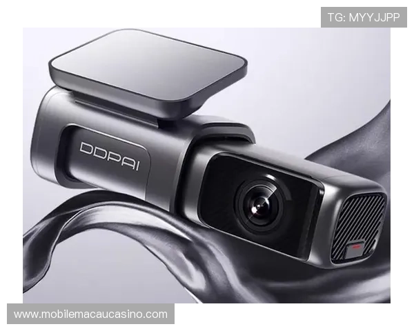 og真人官方客户服务体系全面升级,全天候在线为你解决问题