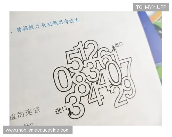 掌握百家乐图形变化规律，提升你的赢面和决策能力